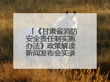 《甘肃省消防安全责任制实施办法》政策解读新闻发布会实录（文+图）