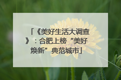 《美好生活大调查》：合肥上榜“美好焕新”典范城市