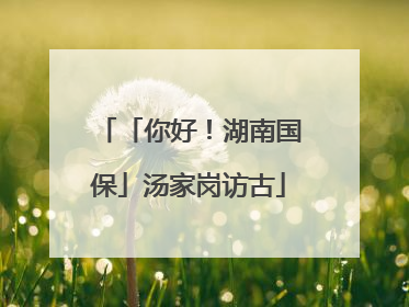 「你好！湖南国保」汤家岗访古