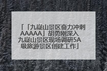 「九嶷山景区奋力冲刺AAAAA」胡勇刚深入九嶷山景区现场调研5A级旅游景区创建工作