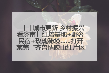 「城市更新 乡村振兴看济南」红培基地+野奢民宿+玫瑰秘境……打开莱芜“齐鲁情映山红片区”的破圈秘籍
