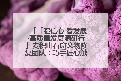 「强信心 看发展·高质量发展调研行」麦积山石窟文物修复团队：巧手匠心触摸“光阴的故事”