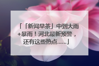 「新闻早茶」中到大雨+暴雨！河北最新预警，还有这些热点……
