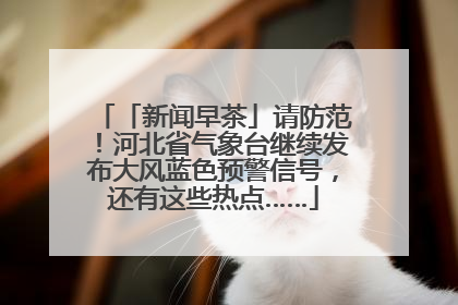 「新闻早茶」请防范！河北省气象台继续发布大风蓝色预警信号，还有这些热点……