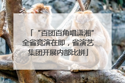 “百团百角唱潇湘”全省竞演在即，省演艺集团开展内部比拼