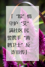 “粽”情守护“艾”满社区 民警携手“黄鹤卫士”反诈宣传