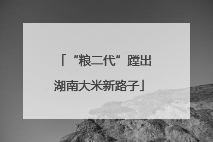 “粮二代”蹚出湖南大米新路子