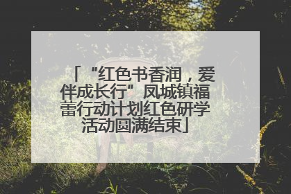 “红色书香润，爱伴成长行”凤城镇福蕾行动计划红色研学活动圆满结束