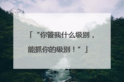 “你管我什么级别，能抓你的级别！”