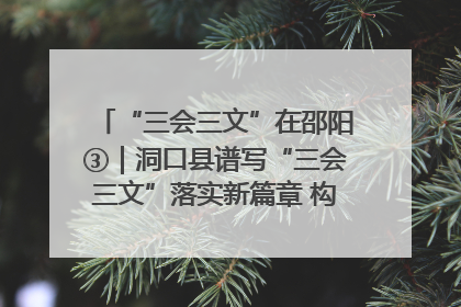“三会三文”在邵阳③｜洞口县谱写“三会三文”落实新篇章 构建协同联动大格局