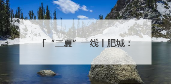 “三夏”一线丨肥城：打好夏粮收购“组合拳” 确保粮食颗粒归仓