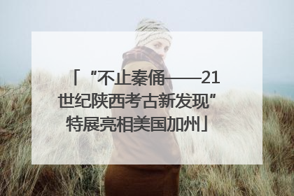 “不止秦俑——21世纪陕西考古新发现”特展亮相美国加州