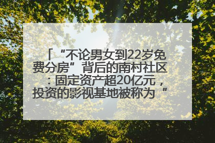 “不论男女到22岁免费分房”背后的南村社区：固定资产超20亿元，投资的影视基地被称为“山村好莱坞”