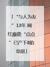“与人为友”13年 网红麋鹿“点点”已产下8胎幼崽