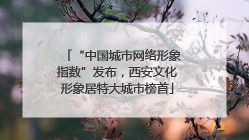 “中国城市网络形象指数”发布，西安文化形象居特大城市榜首