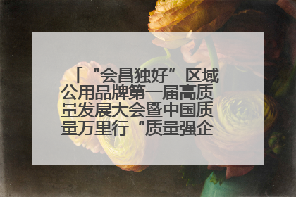 “会昌独好”区域公用品牌第一届高质量发展大会暨中国质量万里行“质量强企•质品行动”进会昌启动仪式成功举办
