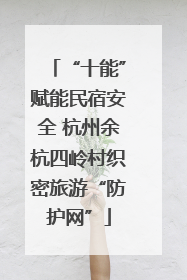 “十能”赋能民宿安全 杭州余杭四岭村织密旅游“防护网”