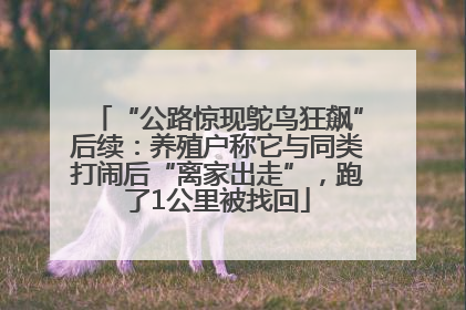 “公路惊现鸵鸟狂飙”后续：养殖户称它与同类打闹后“离家出走”，跑了1公里被找回