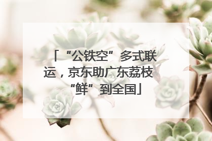 “公铁空”多式联运，京东助广东荔枝“鲜”到全国