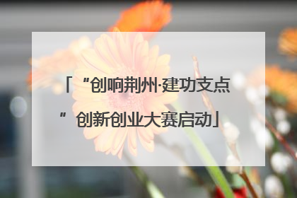 “创响荆州·建功支点”创新创业大赛启动