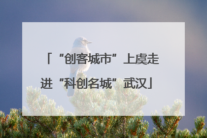 “创客城市”上虞走进“科创名城”武汉