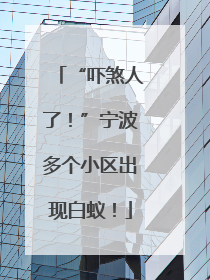 “吓煞人了！”宁波多个小区出现白蚁！