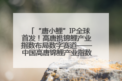 “唐小鲤”IP全球首发！高唐携锦鲤产业指数布局数字赛道——中国高唐锦鲤产业指数暨“唐小鲤”IP全球首发仪式在杭州举行