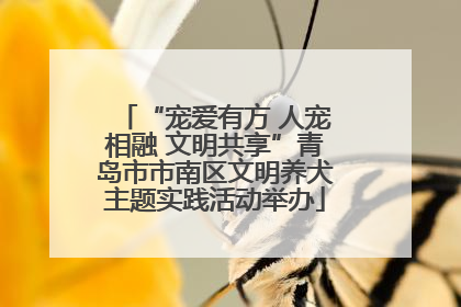 “宠爱有方 人宠相融 文明共享”青岛市市南区文明养犬主题实践活动举办