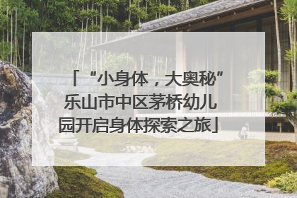 “小身体，大奥秘” 乐山市中区茅桥幼儿园开启身体探索之旅