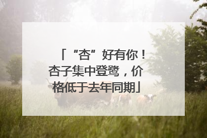 “杏”好有你！杏子集中登鹭，价格低于去年同期