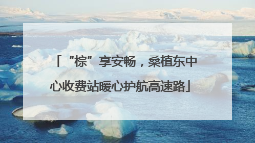 “棕”享安畅，桑植东中心收费站暖心护航高速路