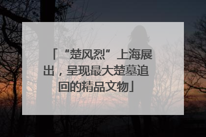 “楚风烈”上海展出，呈现最大楚墓追回的精品文物