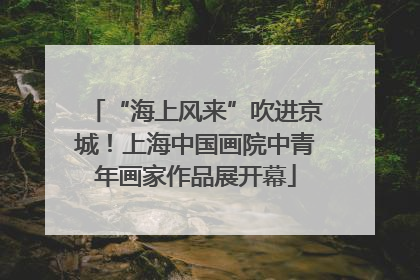 “海上风来”吹进京城！上海中国画院中青年画家作品展开幕