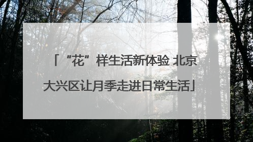 “花”样生活新体验 北京大兴区让月季走进日常生活