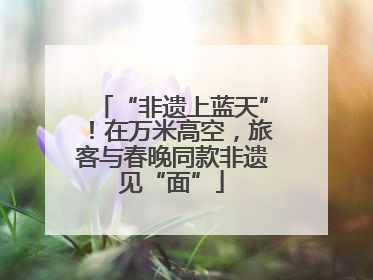 “非遗上蓝天”！在万米高空，旅客与春晚同款非遗见“面”
