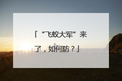 “飞蚁大军”来了，如何防？