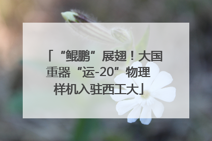 “鲲鹏”展翅！大国重器“运-20”物理样机入驻西工大