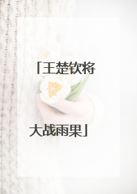王楚钦将大战雨果