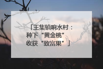 王集镇响水村：种下“黄金桃” 收获“致富果”