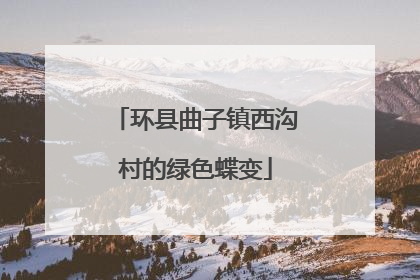 环县曲子镇西沟村的绿色蝶变
