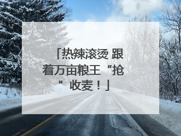 热辣滚烫 跟着万亩粮王“抢”收麦！