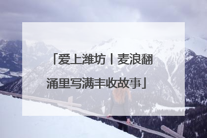 爱上潍坊丨麦浪翻涌里写满丰收故事