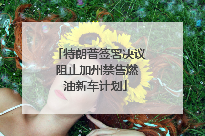特朗普签署决议 阻止加州禁售燃油新车计划