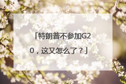 特朗普不参加G20，这又怎么了？