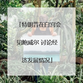 特朗普在白宫会见鲍威尔 讨论经济发展情况