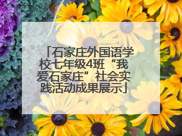 石家庄外国语学校七年级4班“我爱石家庄”社会实践活动成果展示