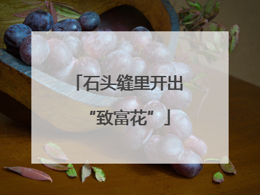 石头缝里开出“致富花”