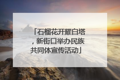 石榴花开耀白塔，新街口举办民族共同体宣传活动