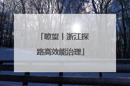 瞭望丨浙江探路高效能治理