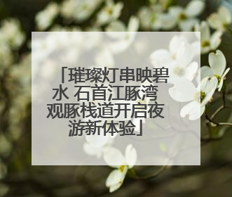 璀璨灯串映碧水 石首江豚湾观豚栈道开启夜游新体验